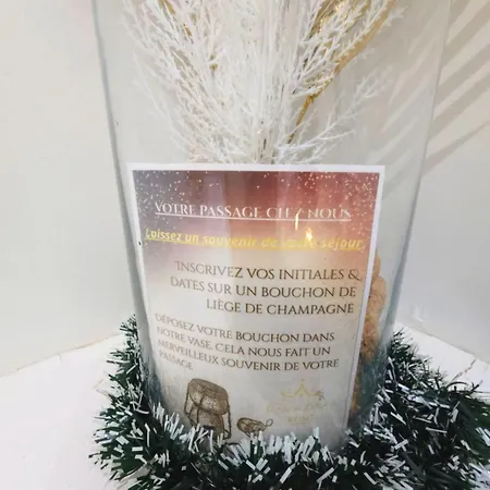 O Sacree Detente De -spa Privatif - Proche De La Gare & Centre شقة *