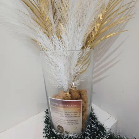 شقة O Sacree Detente De -spa Privatif - Proche De La Gare & Centre *