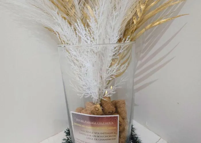 Apartment O Sacree Detente De -spa Privatif - Proche De La Gare & Centre *